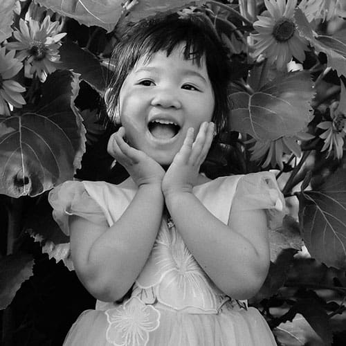 About Pic04 Free Img